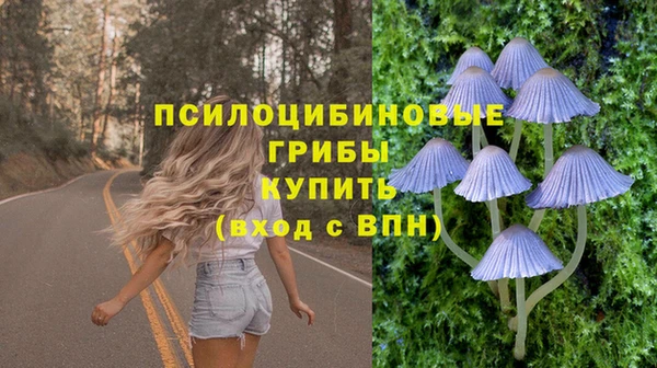 крисы Белокуриха