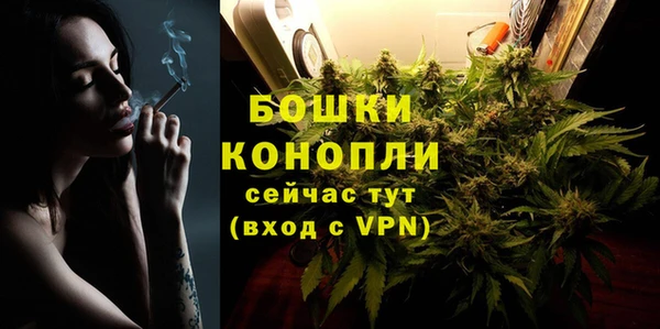 2c-b Богородицк
