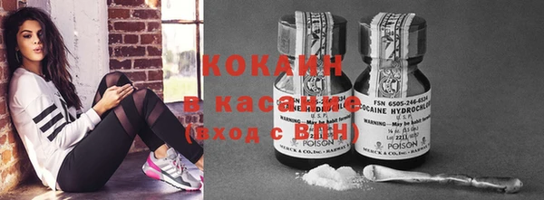 крисы Белокуриха
