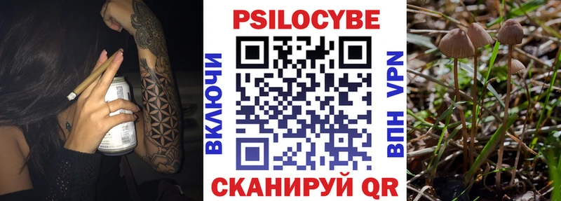 MEGA зеркало  Балахна  Галлюциногенные грибы ЛСД 